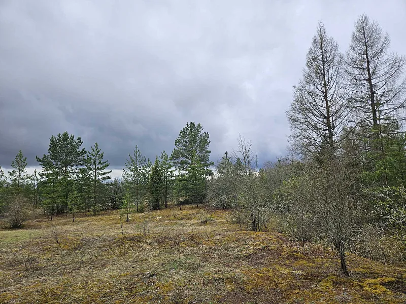 В&nbsp;Ленобласти создали новую особо охраняемую природную территорию