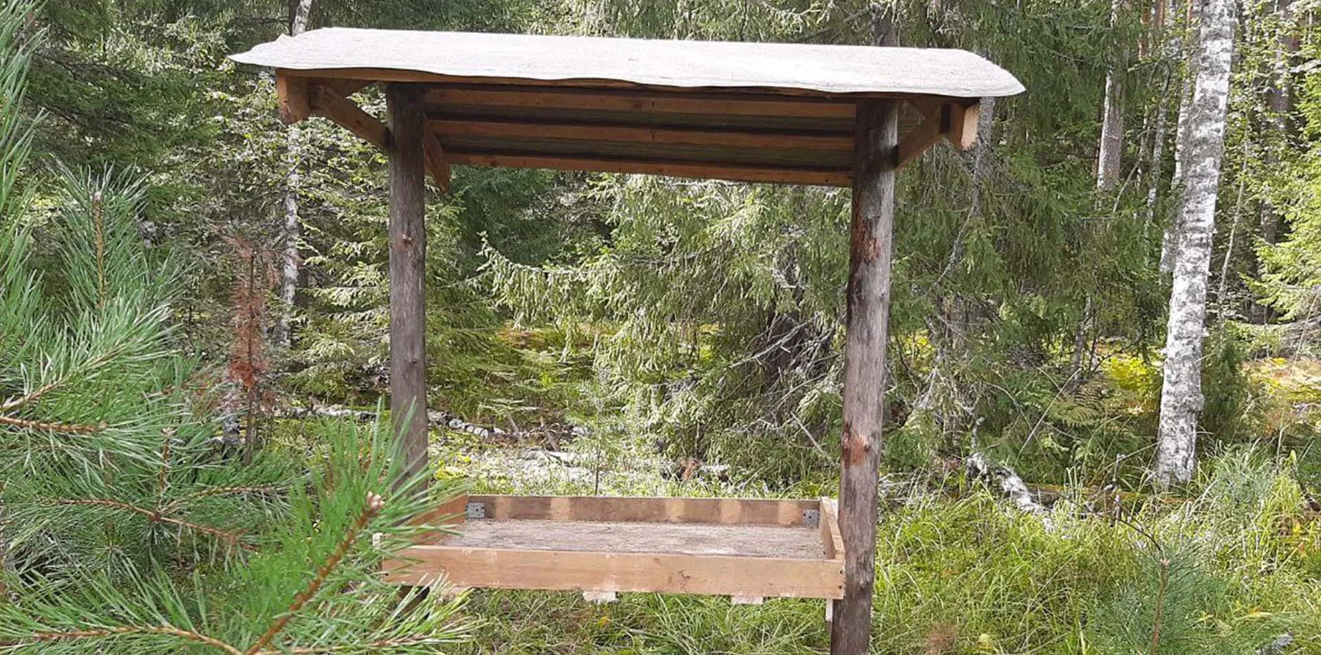 Пресс-служба Правительства Нижегородской области