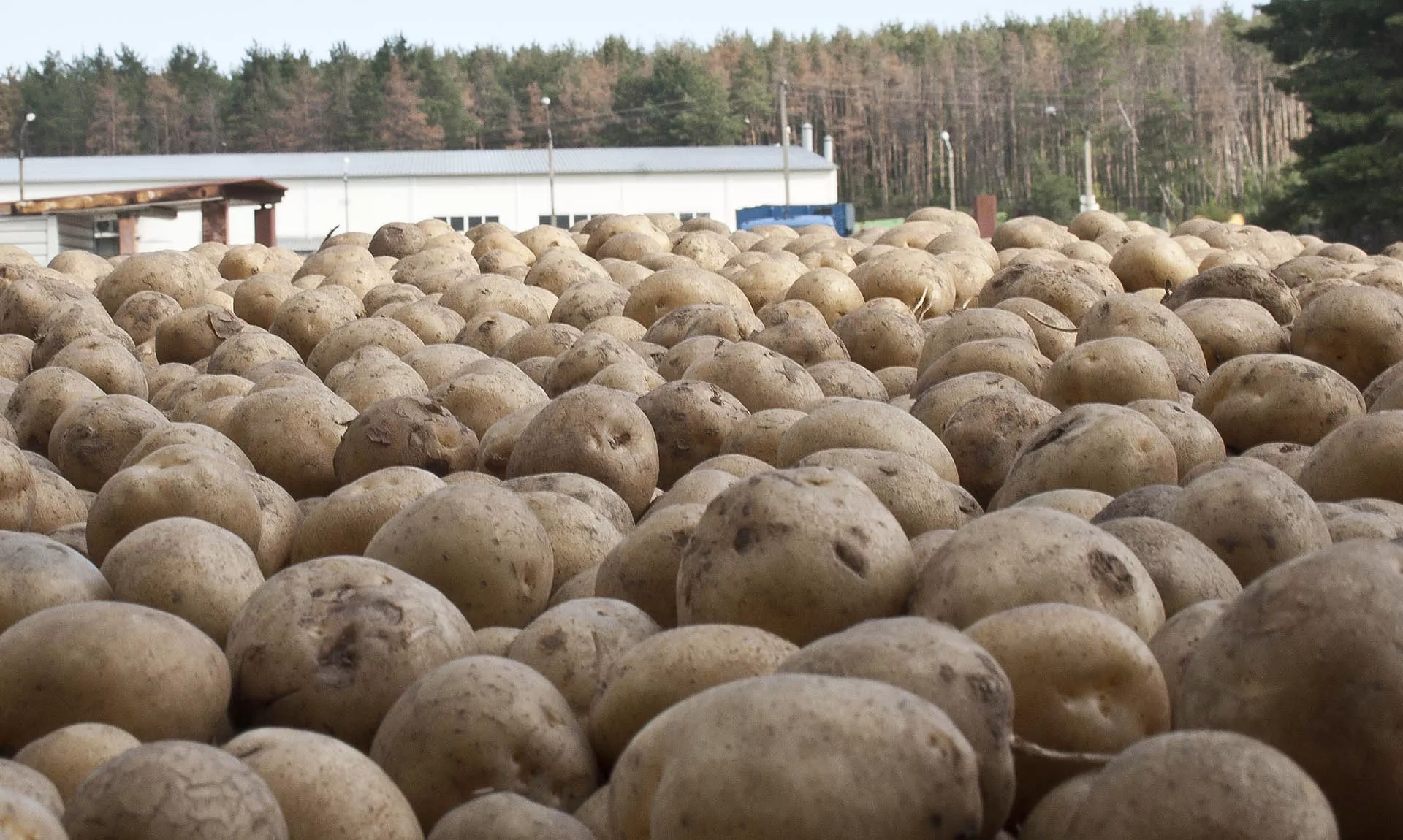 АНО "РЦК"