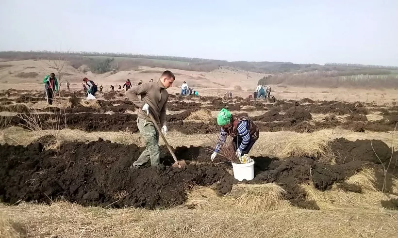 В&nbsp;селе Волотово Белгородской области высадили саженцы яблони