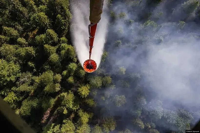 В&nbsp;2026&nbsp;году лесничие Свердловской области проведут 19&nbsp;тысяч патрулирований