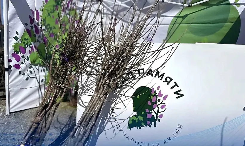 Более 10&nbsp;тыс. деревьев высадят в&nbsp;КЧР в&nbsp;ходе акции &laquo;Сад памяти&raquo;