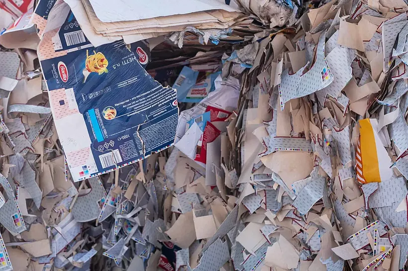 В&nbsp;Московской области собрали около 452&nbsp;тонн макулатуры