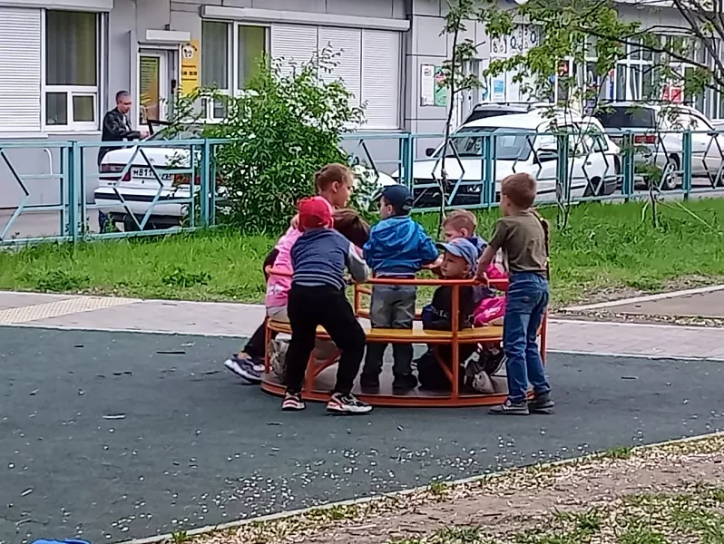 Хабаровчане помогают улучшать городские объекты