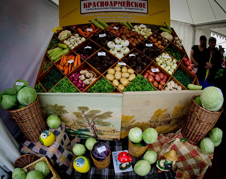 В&nbsp;2025&nbsp;году Южный Урал нарастил сбор овощей и&nbsp;плодов на&nbsp;17%