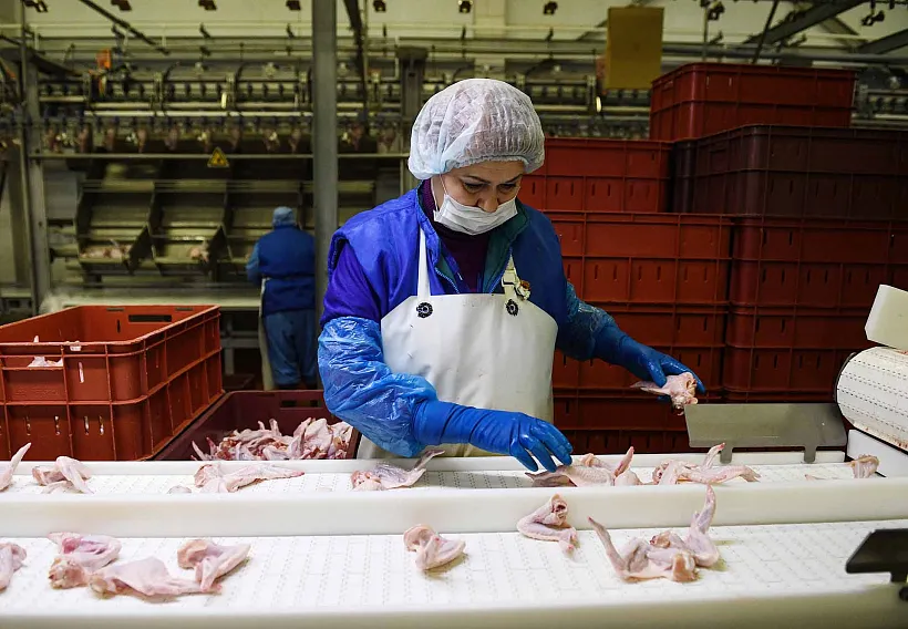 В&nbsp;Ленобласти отгрузили на&nbsp;экспорт первые в&nbsp;2026&nbsp;году партии продукции АПК