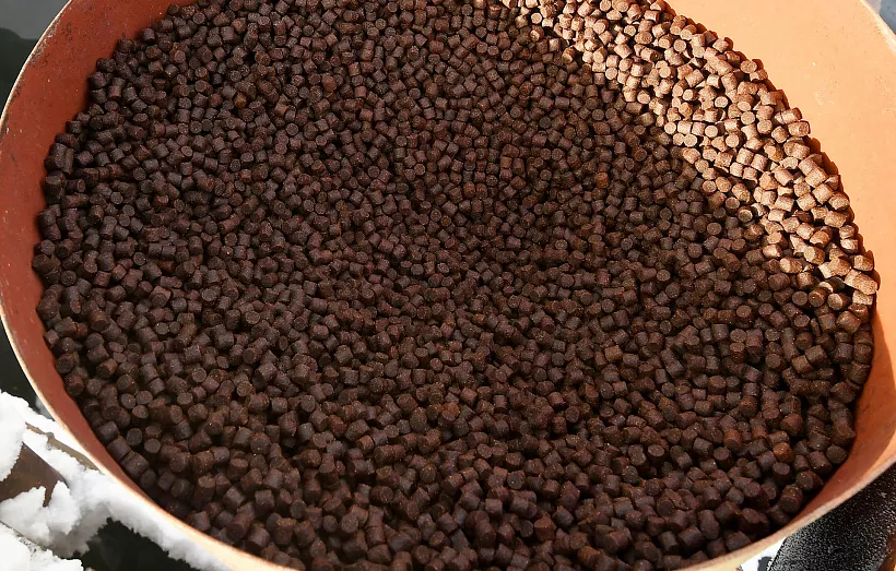 Производитель корма для&nbsp;форели из&nbsp;Карелии повысит эффективность