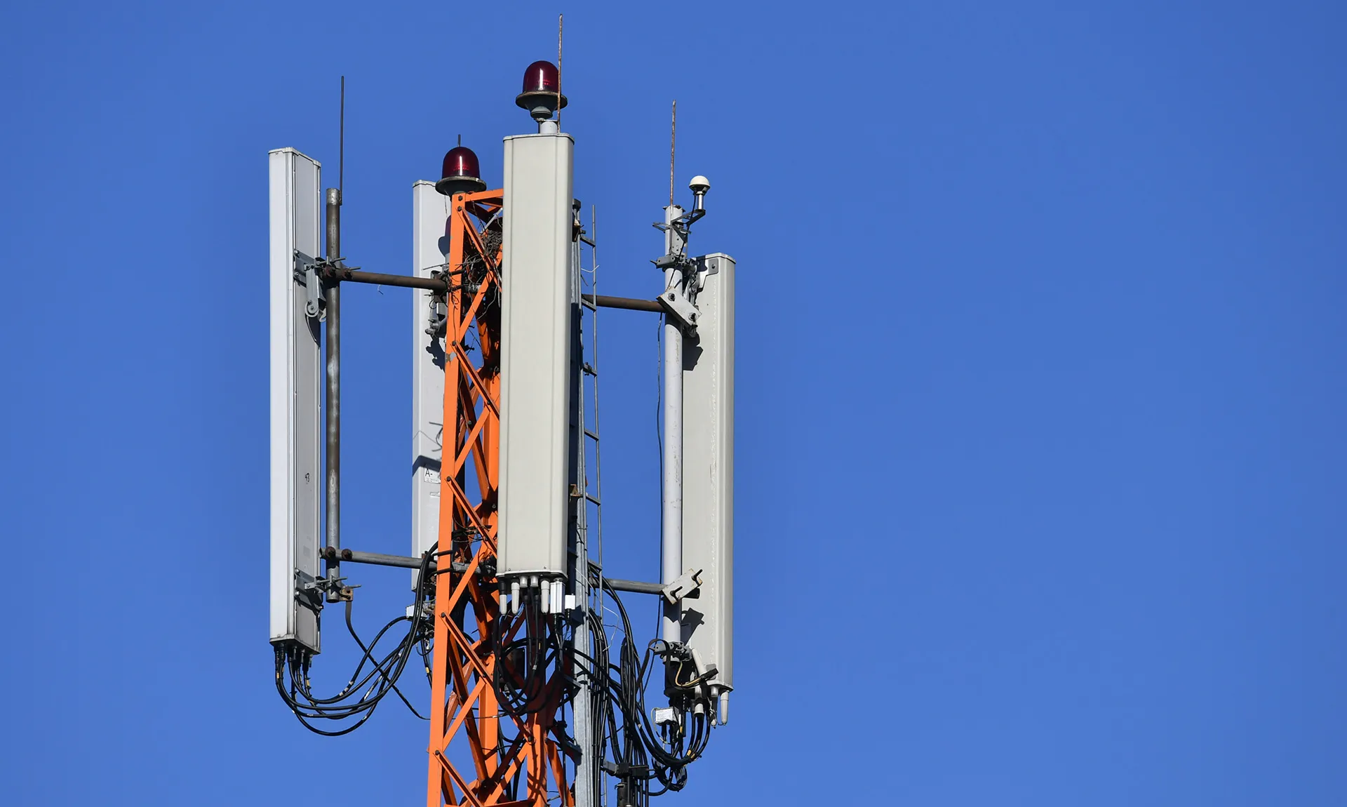 Михаил Воскресенский/РИА Новости 