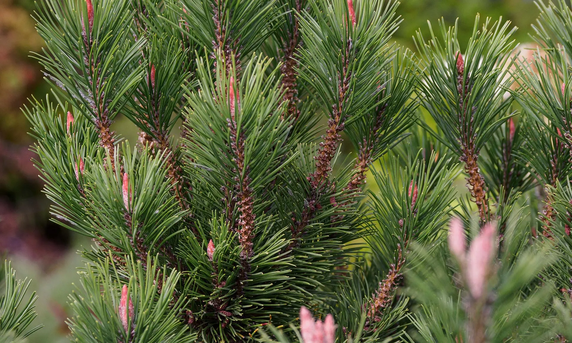 А. Титов/Бизнес Online/ТАСС