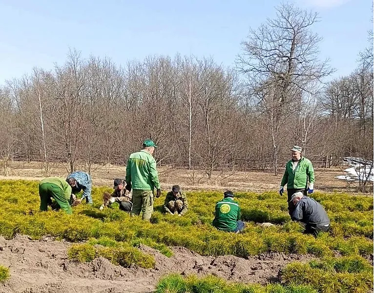 В&nbsp;Липецкой области приступили к&nbsp;весенней лесокультурной кампании