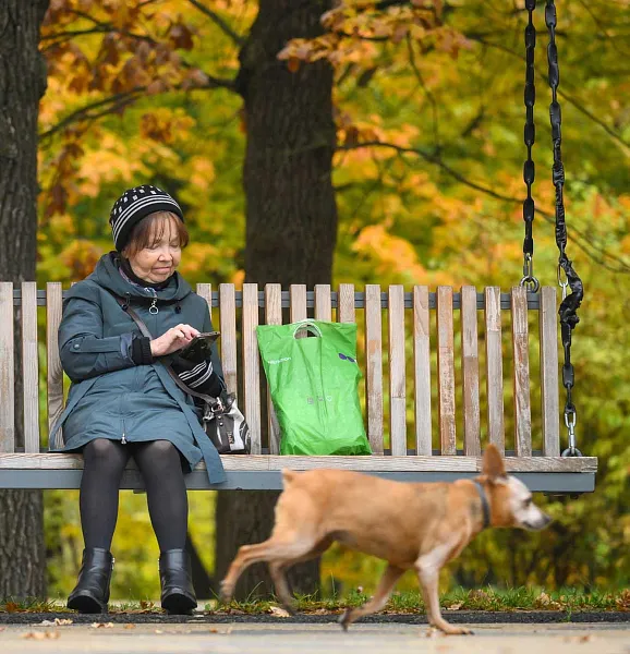 В&nbsp;поселке Дружном в&nbsp;Челябинской области благоустроили сквер