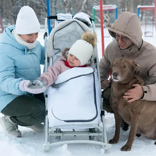 За&nbsp;3&nbsp;месяца меры соцподдержки помогли 36,3&nbsp;тыс. многодетных семей Кузбасса