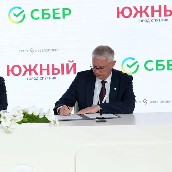 Для&nbsp;города-спутника Петербурга подготовят цифровые инструменты