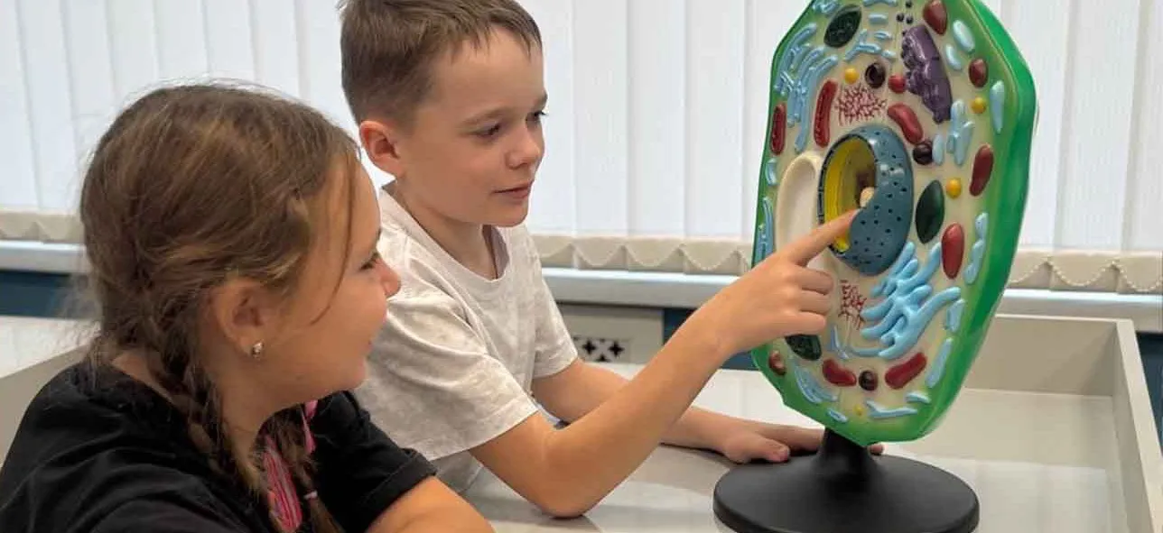 Администрации Главы и Правительства Республики Мордовия