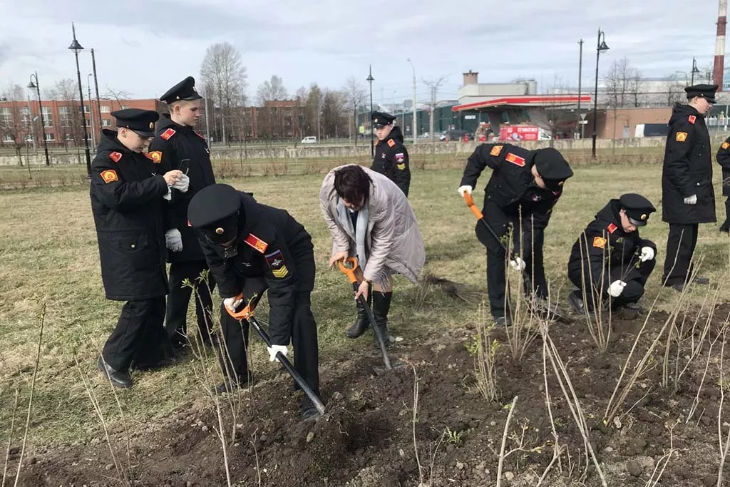 Администрация Невского района Санкт-Петербурга