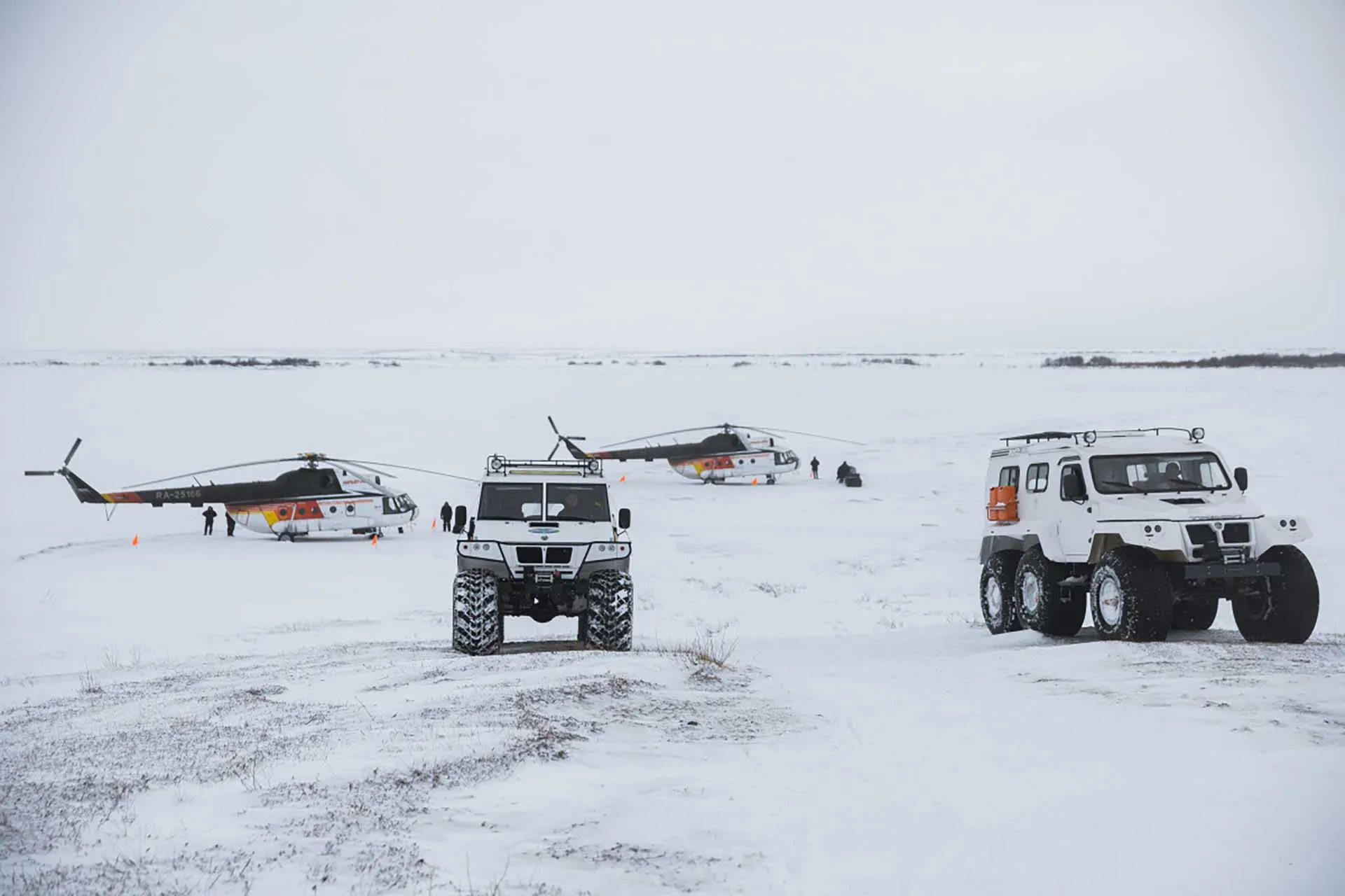 Екатерина Эстер/НАО24