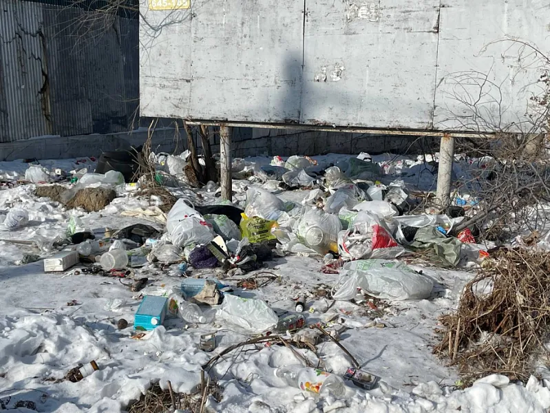 В&nbsp;Хабаровске ликвидировали около 30&nbsp;незаконных свалок