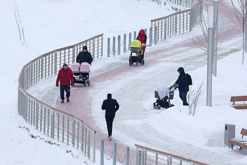 Обустройство лесного парка в&nbsp;Екатеринбурге завершится в&nbsp;2022&nbsp;году