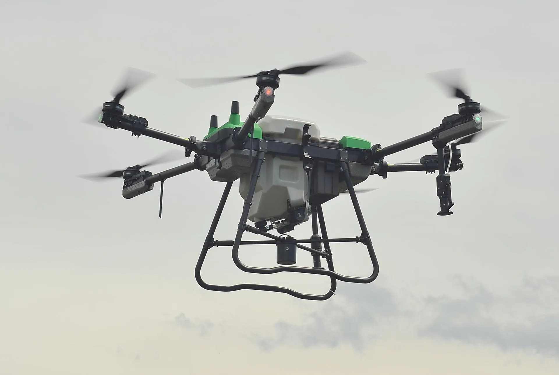 Алексей Сухоруков/РИА Новости