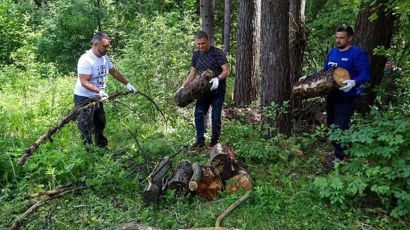 В&nbsp;Московской области прошла акция по&nbsp;очистке леса