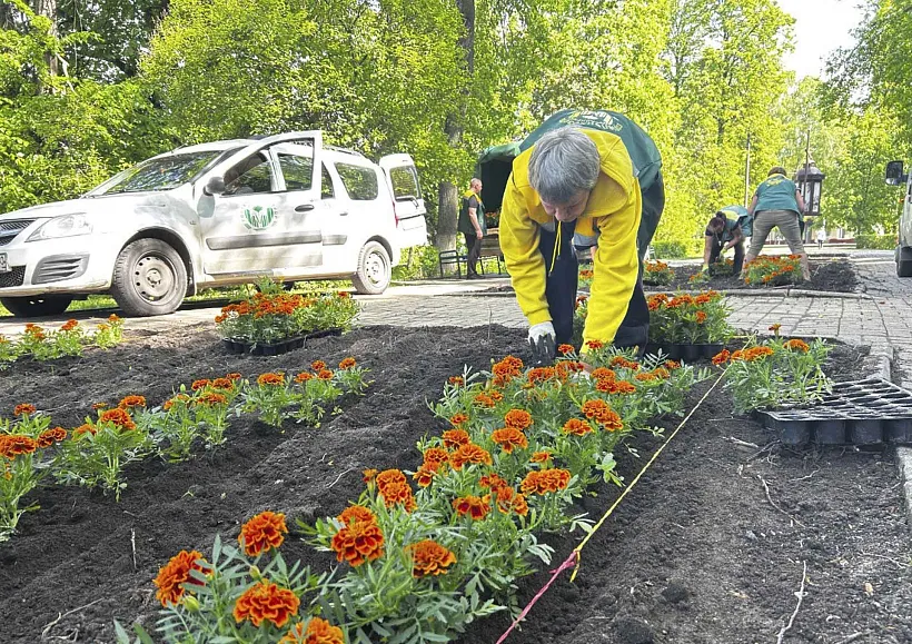 В&nbsp;подмосковном Воскресенске высадят более 60&nbsp;тысяч цветов в&nbsp;этом году
