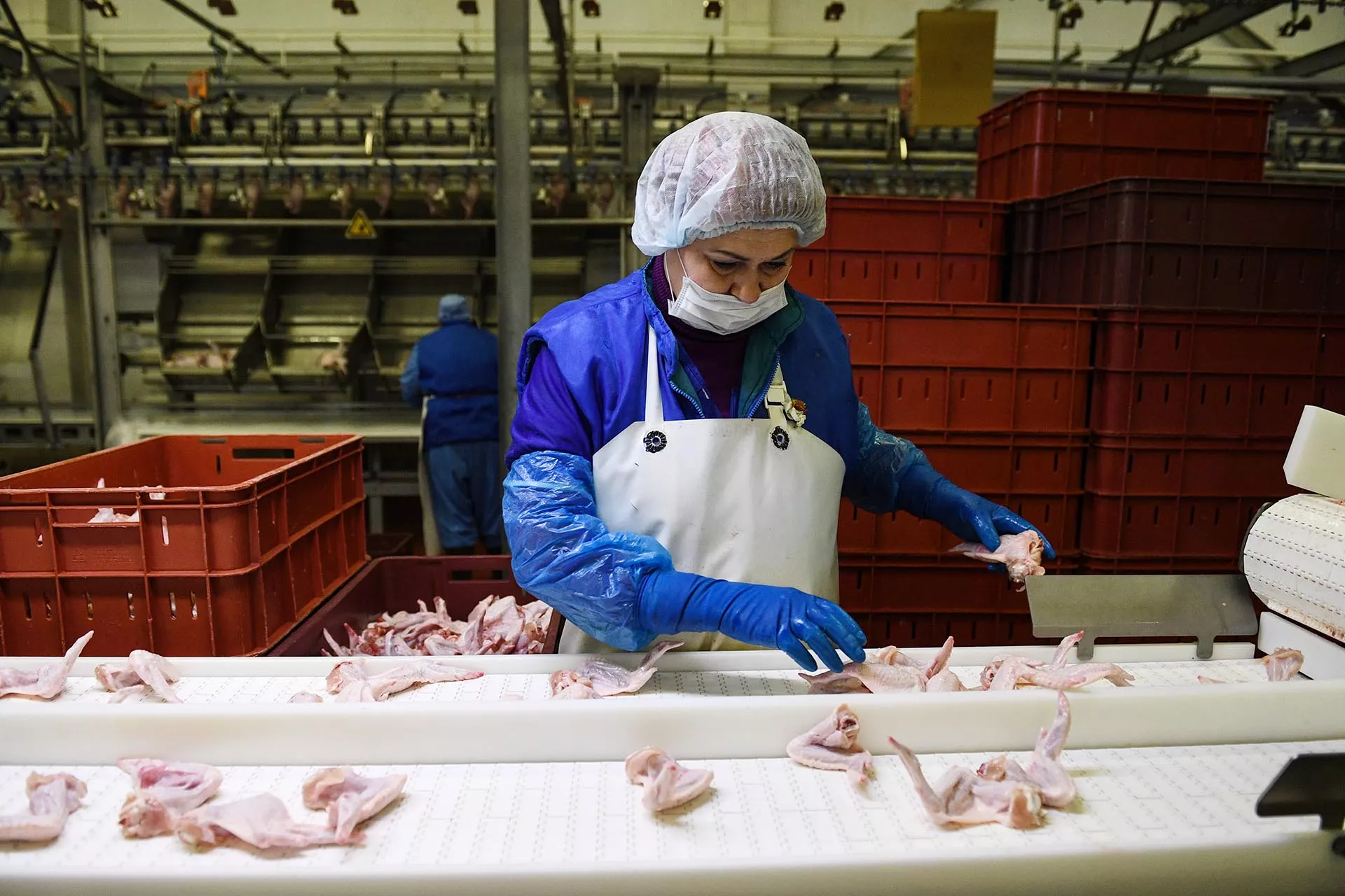 Ставрополь увеличил экспорт мяса птицы на&nbsp;2%