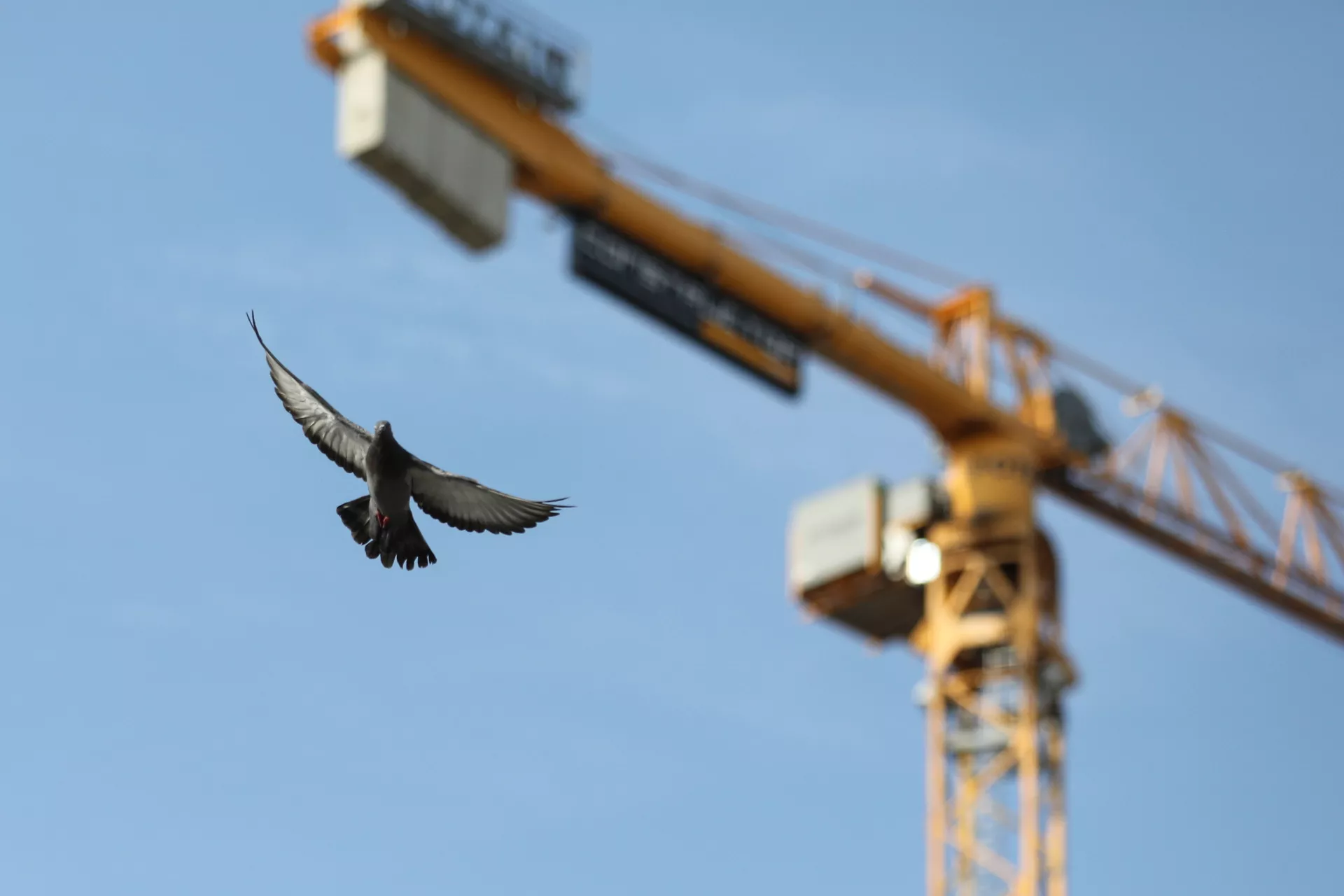 Антон Кузнецов/ТАСС