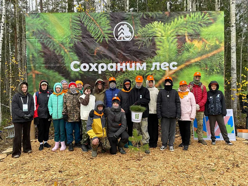 В&nbsp;Югре высадили 40&nbsp;тыс. саженцев сосны
