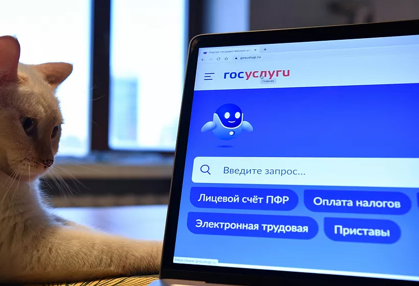 Более 9&nbsp;тысяч сельчан Пензенской области получили доступ к&nbsp;интернету