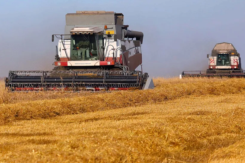 Ростовская область перевыполнила годовой план по&nbsp;экспорту сельхозпродукции
