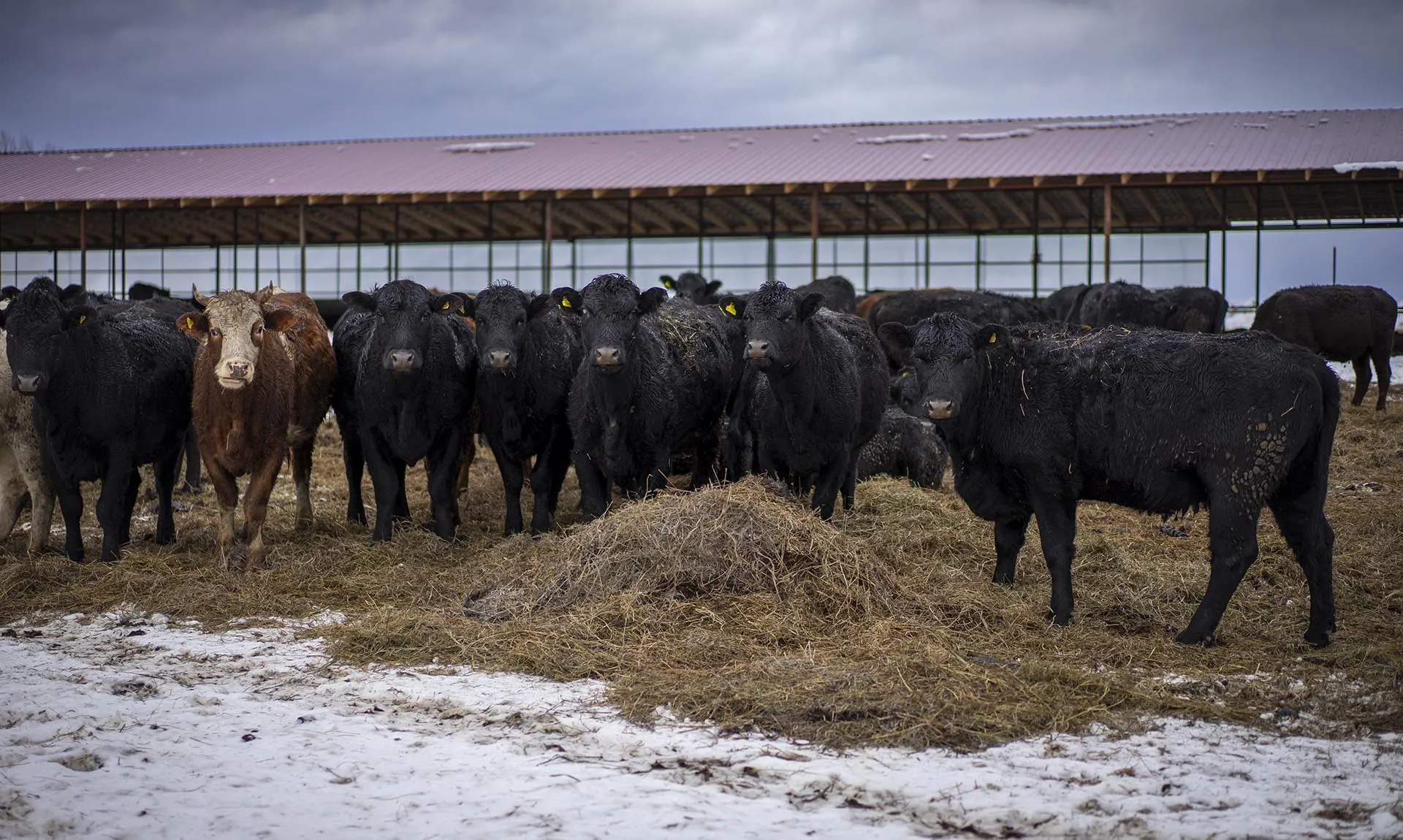Министерство сельского хозяйства Республики Башкортостан