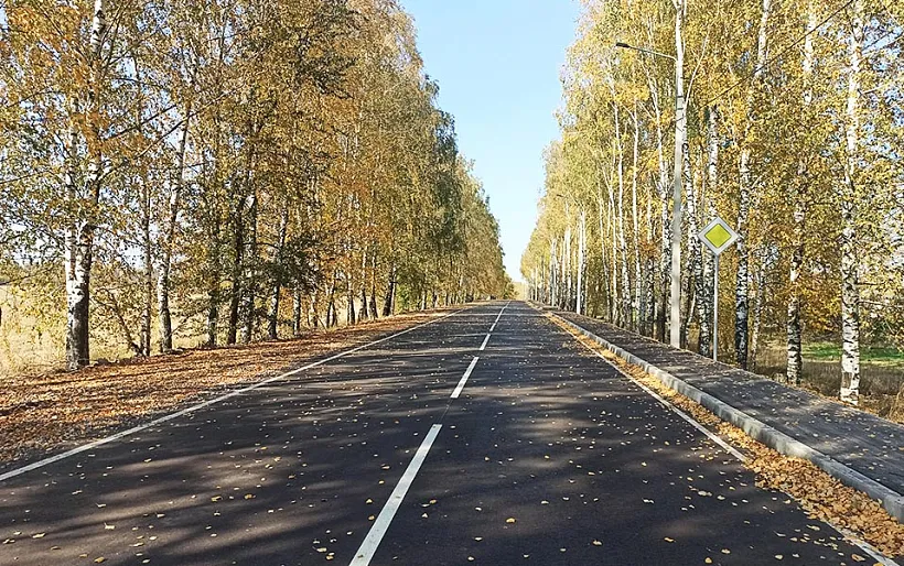 В&nbsp;Брянской области обновили свыше 100&nbsp;километров дорог в&nbsp;2024&nbsp;году