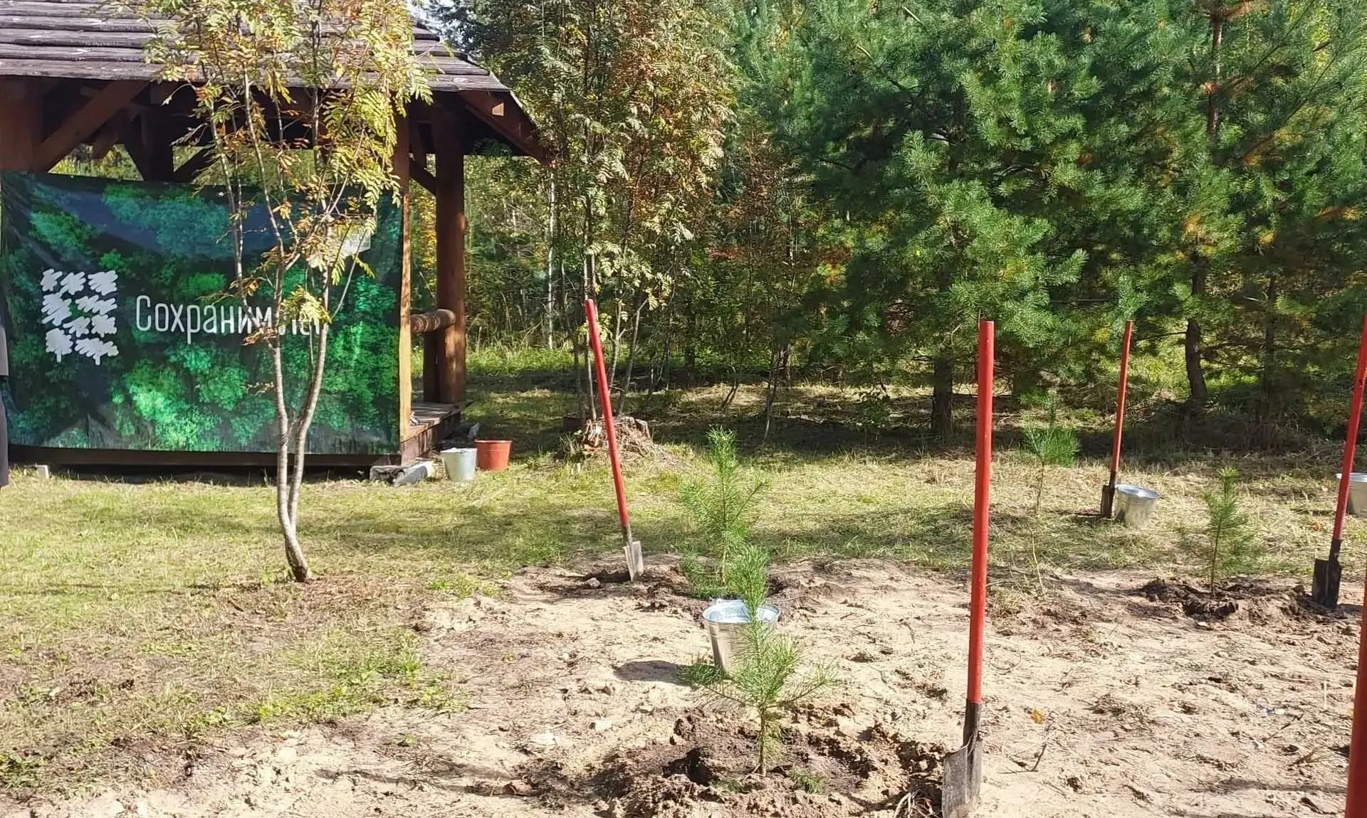 МИНИСТЕРСТВО ЛЕСНОГО ХОЗЯЙСТВА ВЛАДИМИРСКОЙ ОБЛАСТИ