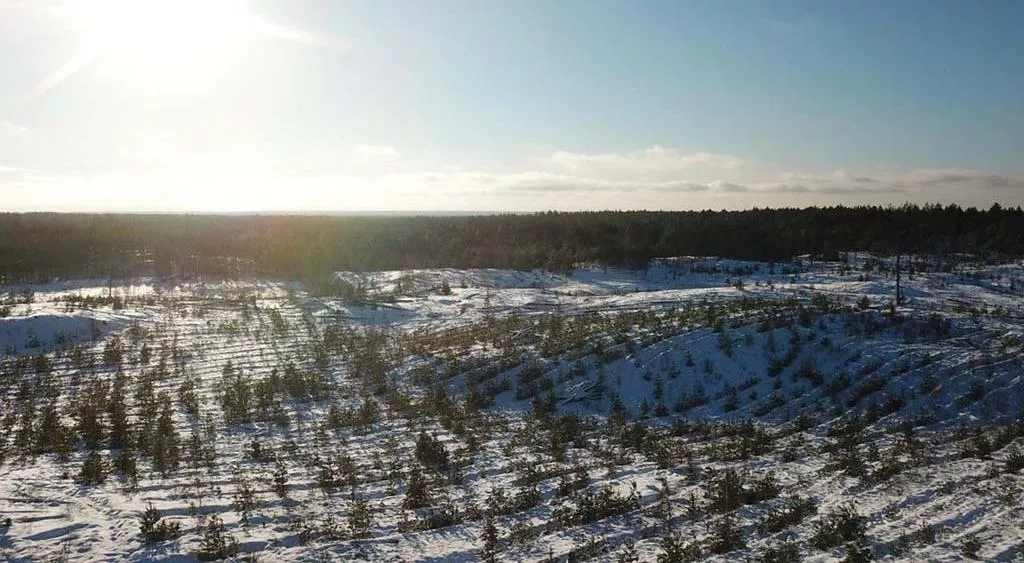 Пресс-служба правительства Нижегородской области