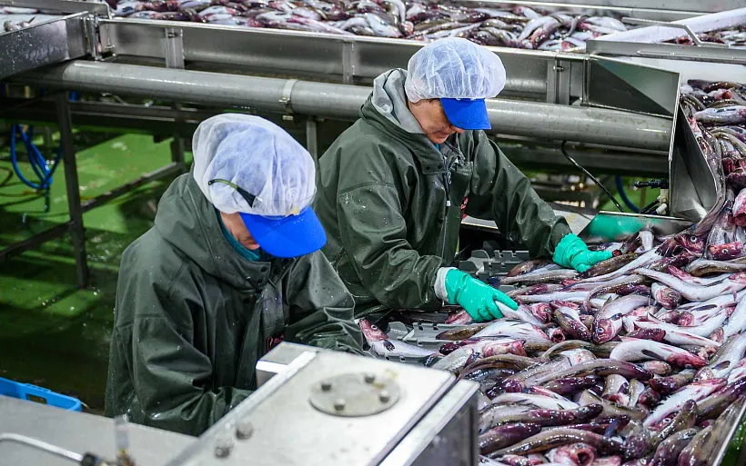 Новосибирская область увеличила экспорт рыбной продукции в&nbsp;Казахстан и&nbsp;КНР