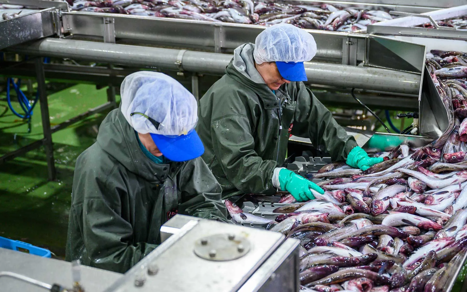 Сергей Красноухов/РИА Новости