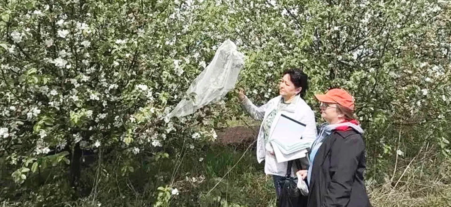 Министерство сельского хозяйства и продовольствия Самарской области