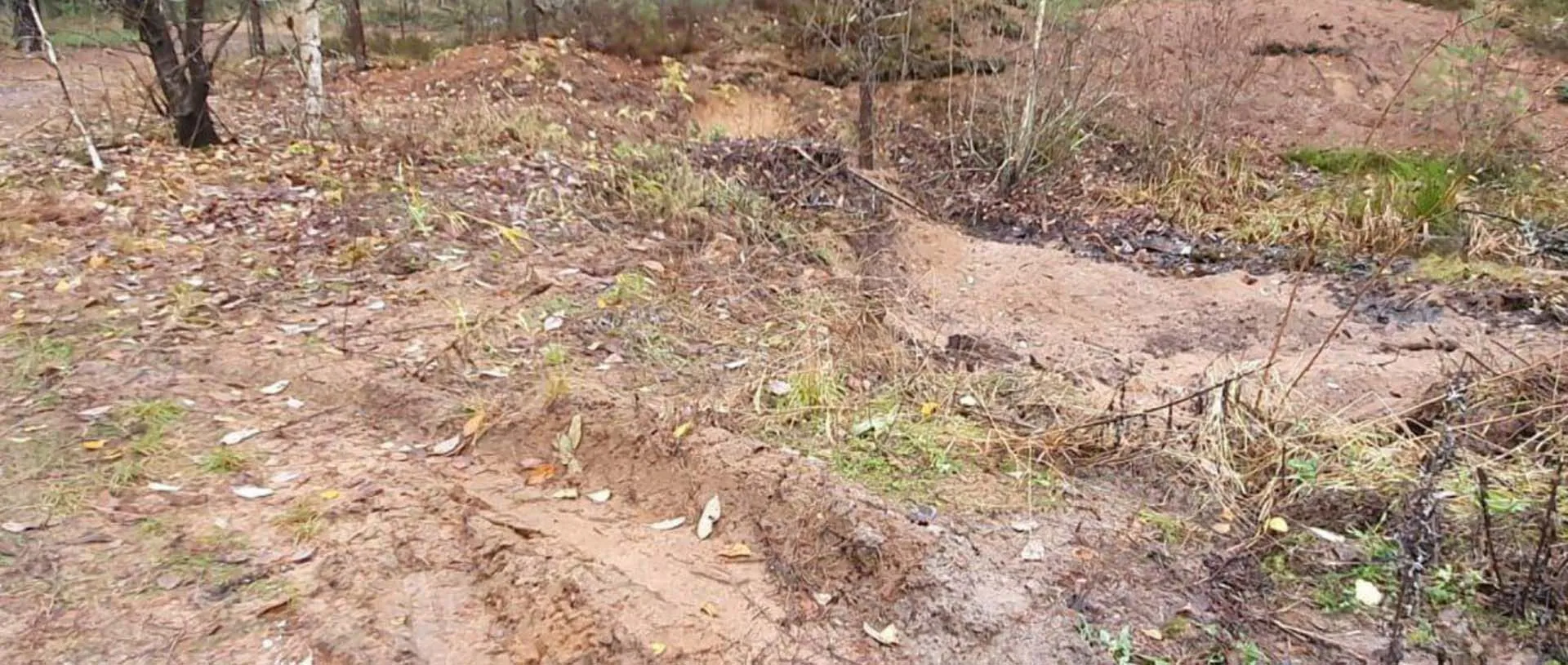 Управление пресс-службы Губернатора и Правительства Ленинградской области