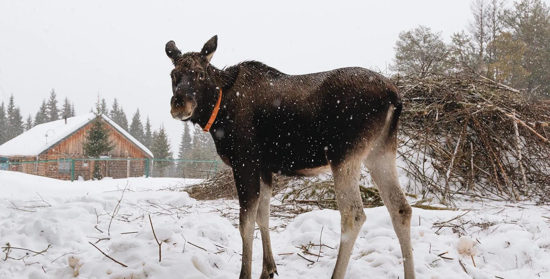Министерство туризма Республики Коми