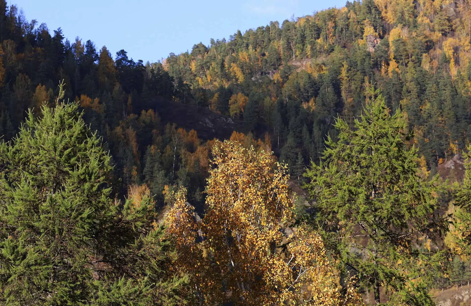 Илья Наймушин/РИА Новости