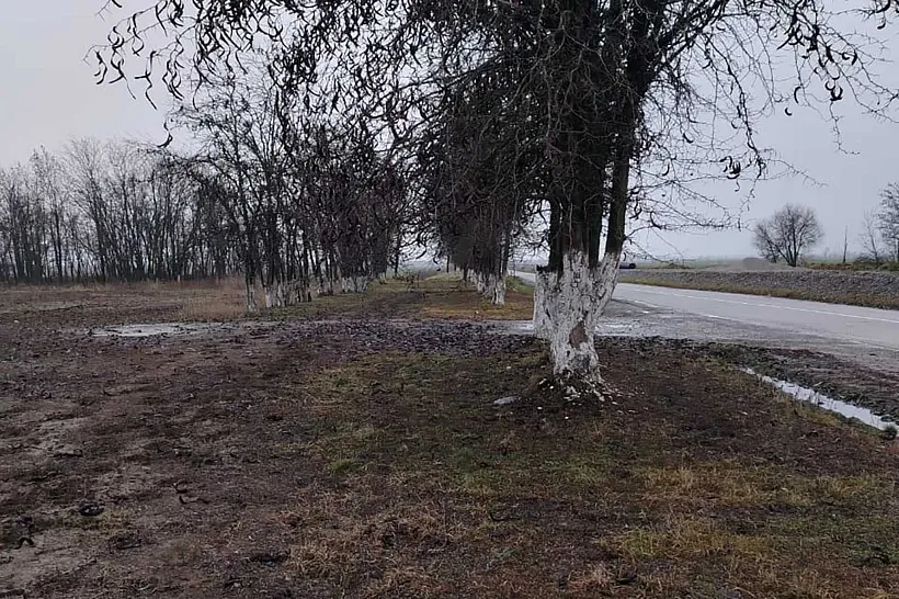 В&nbsp;Серноводском районе Чечни очистили придорожные территории трассы