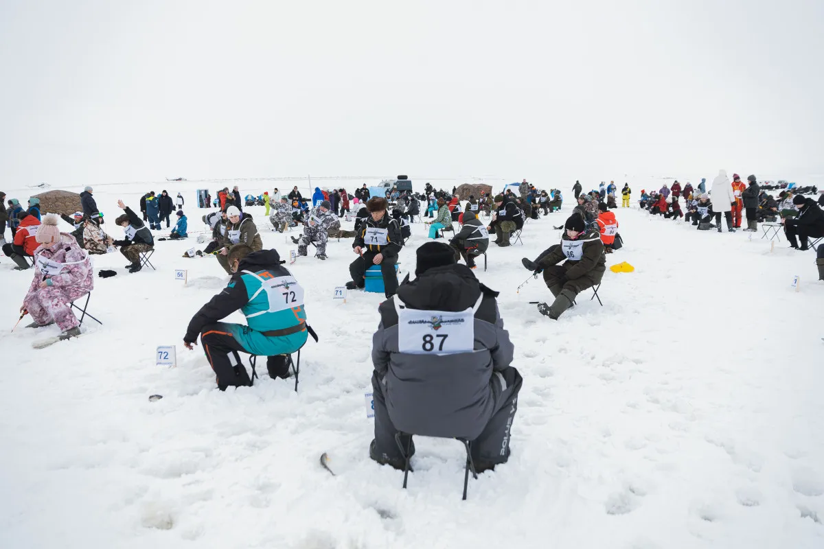 Екатерина Эстер/НАО24