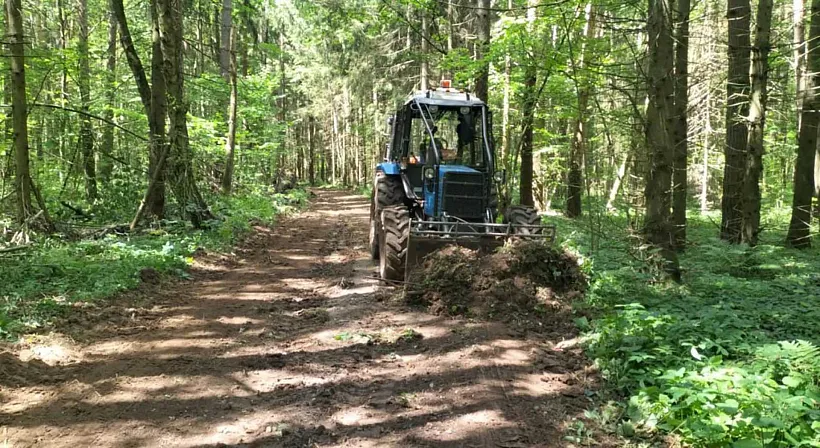 В&nbsp;подмосковных лесничествах завершают противопожарные мероприятия