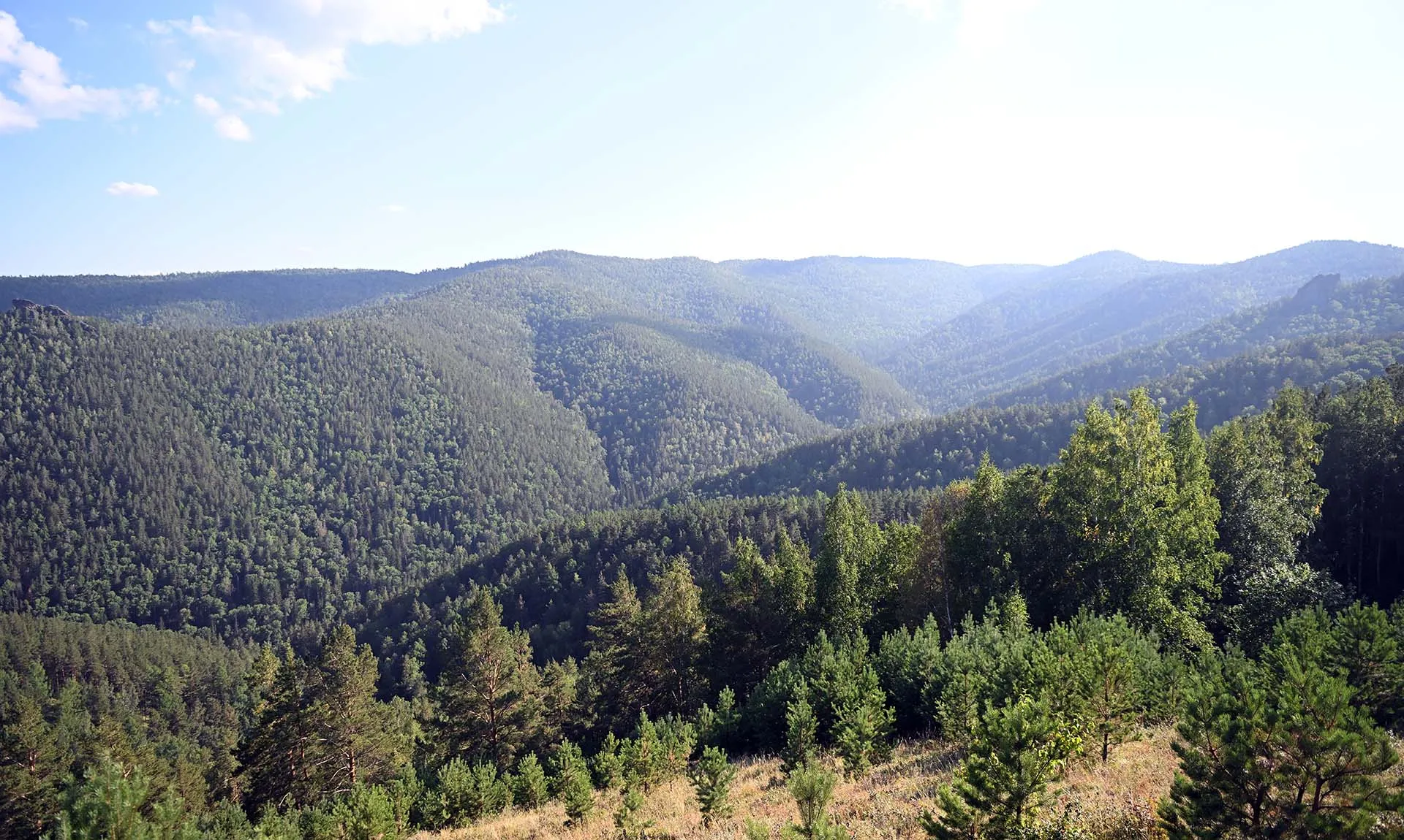 Кристина Кормилицына/РИА Новости 