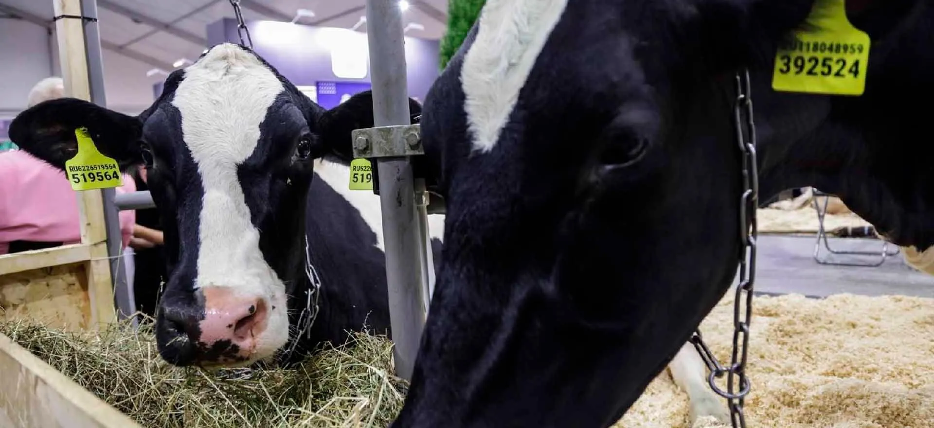 Министерство информации и молодежной политики Московской области