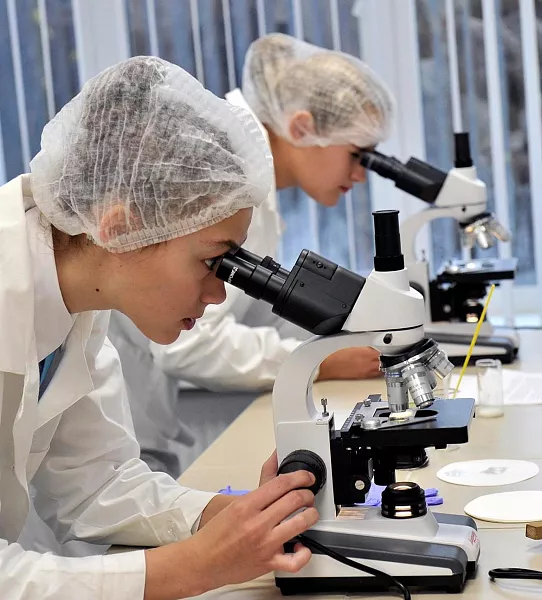 В&nbsp;Грозном прошел форум специалистов лабораторной медицины