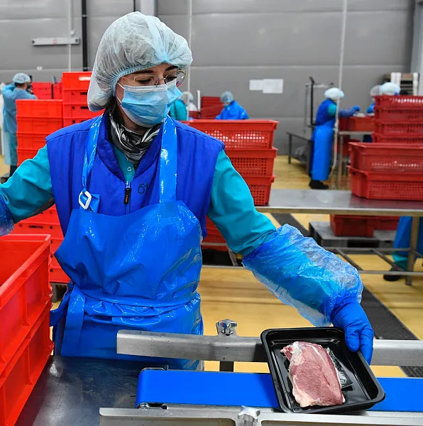 Производство мяса в&nbsp;Кабардино-Балкарии выросло на&nbsp;8,7%