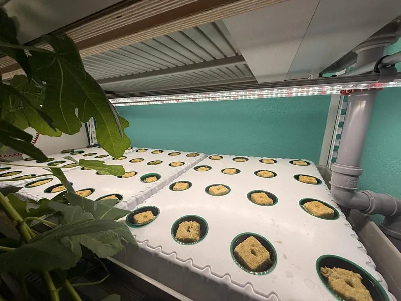 В&nbsp;школе поселка Ладва в&nbsp;Карелии открыли агротехкласс