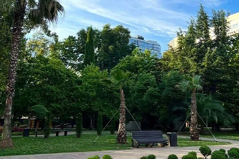 В&nbsp;Сочи высадят более 13&nbsp;тысяч кустарников