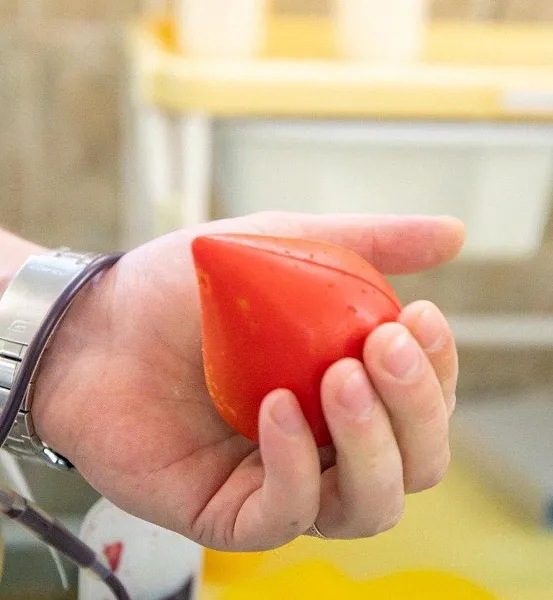 С&nbsp;начала года почти 20&nbsp;тыс. доноров Подмосковья сдали кровь и&nbsp;ее компоненты